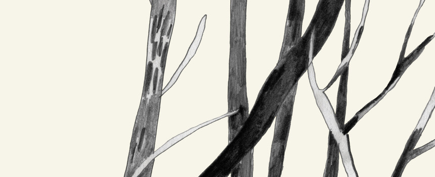 skog