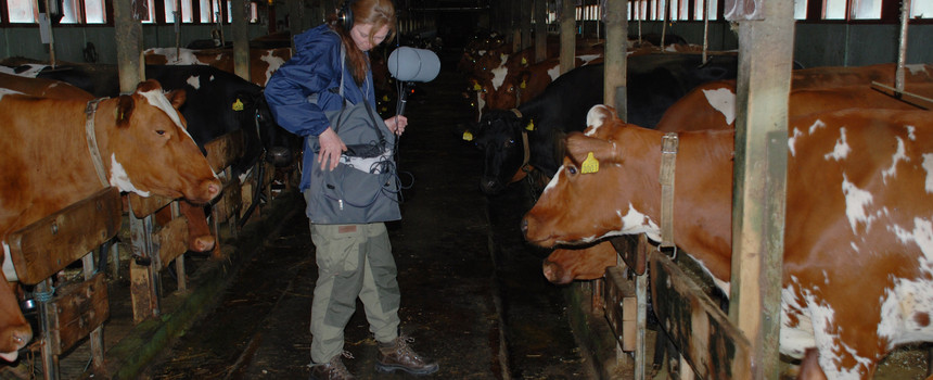 Natasha_cowshed